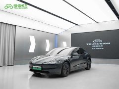 Tesla Model 3 Edition - фото 1