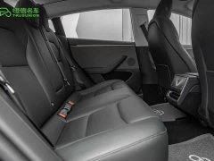 Tesla Model 3 Edition - фото 17