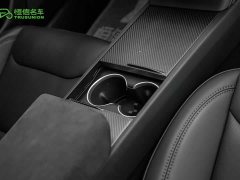 Tesla Model 3 Edition - фото 20