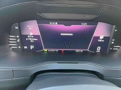 Chery TSI280 DSGDeluxe Edition - фото 9