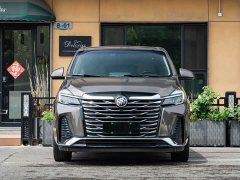 Buick GL8 land business class premium type - фото 2