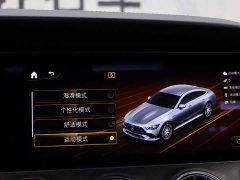 Mercedes-Benz AMG GT AMG GT 50 - фото 16