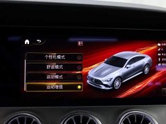 Mercedes-Benz AMG GT AMG GT 50 - фото 17