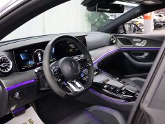Mercedes-Benz AMG GT AMG GT 50 - фото 9