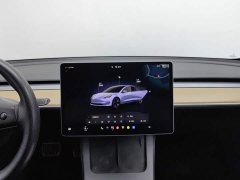 Tesla Model 3 Edition - фото 12