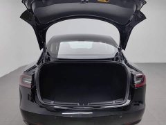 Tesla Model 3 Edition - фото 16