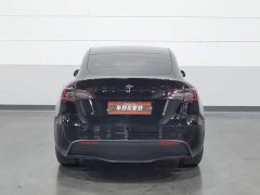 Tesla Model Y Long Range Edition - фото 4