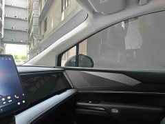 BYD M9 1060 Edition - фото 15