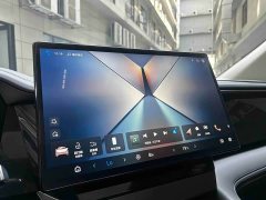 BYD M9 1060 Edition - фото 16