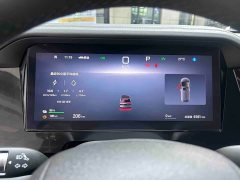 BYD M9 1060 Edition - фото 17