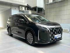 BYD M9 1060 Edition - фото 19