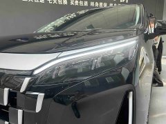 BYD M9 1060 Edition - фото 2