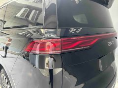 BYD M9 1060 Edition - фото 4