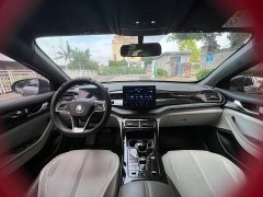 BYD PLUS Edition DM-i 55KM Version - фото 19