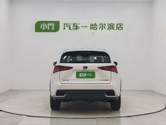Lexus NX 300h Edition VI - фото 6
