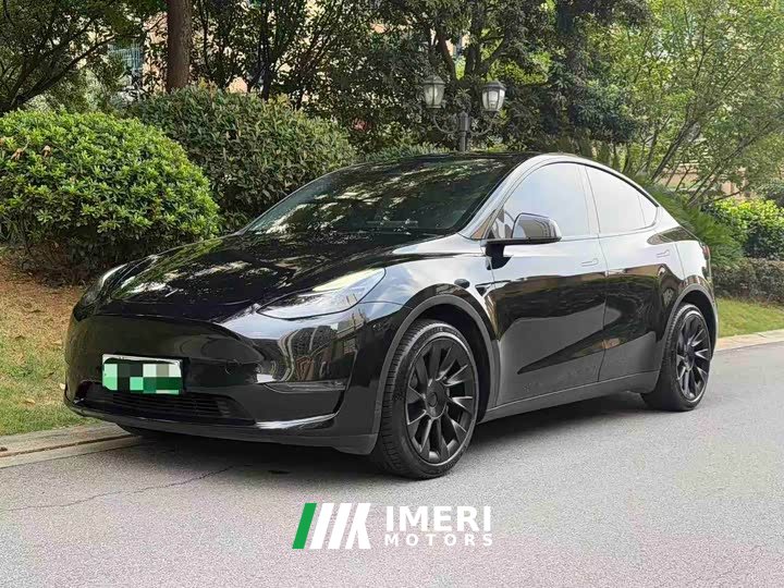 Tesla Model Y Long Range Edition 3D7