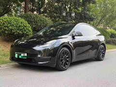 Tesla Model Y Long Range Edition 3D7 - фото 1