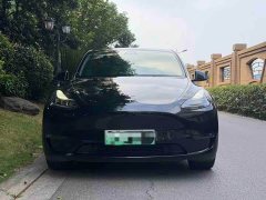 Tesla Model Y Long Range Edition 3D7 - фото 2