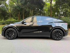 Tesla Model Y Long Range Edition 3D7 - фото 3
