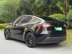 Tesla Model Y Long Range Edition 3D7 - фото 4