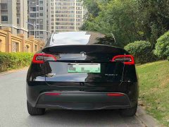 Tesla Model Y Long Range Edition 3D7 - фото 5