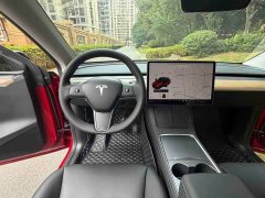 Tesla Model Y Long Range Edition 3D7 - фото 9