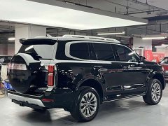 Tank 500 3.0T sports version, environment type, 7 seats - фото 2
