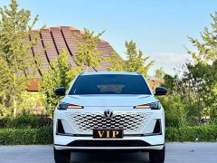 Changan CS55PLUS 1.5T DCT Version - фото 2