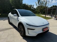 Tesla Model Y Edition - фото 3