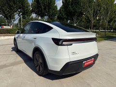Tesla Model Y Edition - фото 6
