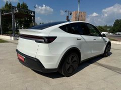 Tesla Model Y Edition - фото 8