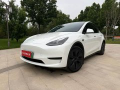 Tesla Model Y Edition - фото 1