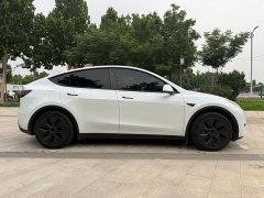 Tesla Model Y Edition - фото 3