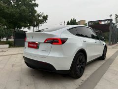 Tesla Model Y Edition - фото 6