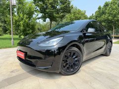 Tesla Model Y Edition - фото 1