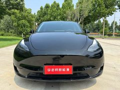 Tesla Model Y Edition - фото 2