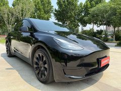Tesla Model Y Edition - фото 3