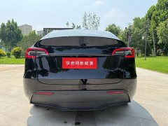 Tesla Model Y Edition - фото 7
