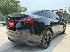 Tesla Model Y Edition - фото 8
