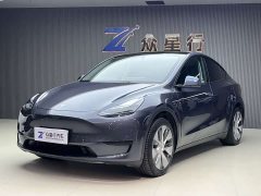 Tesla Model Y Edition - фото 1