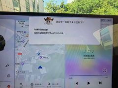 Li Auto L9 Max - фото 9