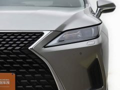 Lexus RX 300 2WD Edition - фото 13
