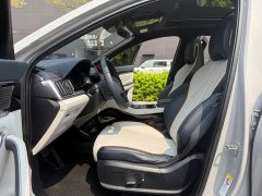 BYD PLUS Edition EV 520km Luxury Version - фото 7