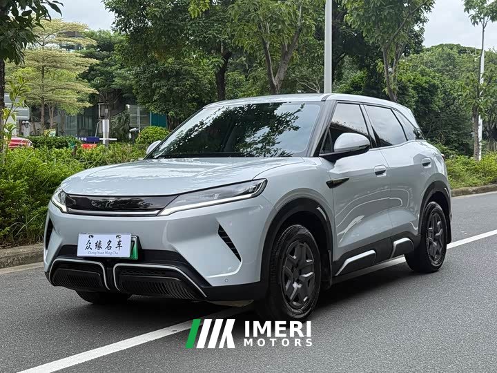 BYD UP Smart Drive Edition 401KM Edition - автомобиль из Китая