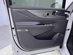 Buick GL8 Deluxe Edition - фото 16
