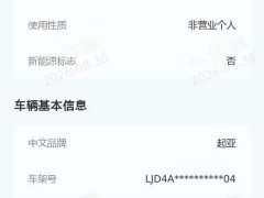 Lynk & Co 1.4L CVT - фото 3