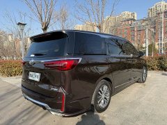 Buick GL8 ES 653T Version - фото 6