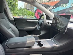 Tesla Model Y Edition - фото 17