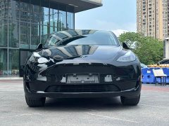 Tesla Model Y Edition - фото 2