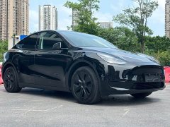 Tesla Model Y Edition - фото 3